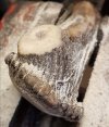 20180219_185215.jpg