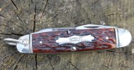 IMG_3146.jpg