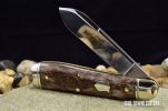 GEC 56 Bird Dog010.jpg GEC 56 Bird Dog010.jpg