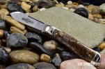 GEC 56 Bird Dog012.jpg GEC 56 Bird Dog012.jpg