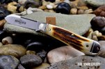 GEC 56 Bird Dog049.jpg GEC 56 Bird Dog049.jpg