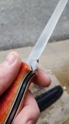 Boning knife tequila sunrise edge grind.jpg