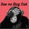 See no Bog.jpg