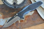 ZT0393_1.jpg
