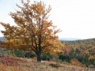 IMG_4106.JPG