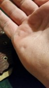 2018-02-14 21.46.35.jpg