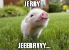 038299E8-F6FA-4953-9B76-DA07504188B8.jpeg