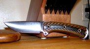 SAR41.jpg