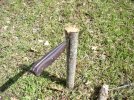 Batoning, Knife #1.jpg
