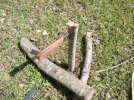Batoning, Knife #2.jpg