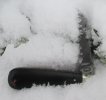 AW Ebony Lambsfoot 18-6.JPG