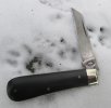 AW Ebony Lambsfoot 18-9.JPG