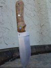 DSC04305.jpg