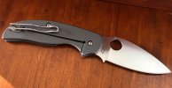 Spyderco_Sage_2-6.jpg