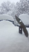 20180305_140530-1494x2656.jpg