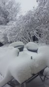 20180305_140559-1494x2656.jpg