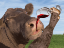 cow-wine1.png