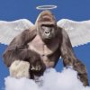 harambe-in-heaven-2.jpg