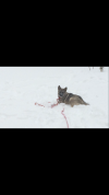 BA18E7C2-7781-4AB5-ABF1-CF40797A244B.png