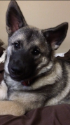 C58DE0EE-F70F-4E63-9110-E3288011A042.png
