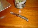busse 2 004.jpg