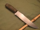 long clipdesert bowie 003.jpg long clipdesert bowie 003.jpg