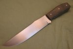 long clipdesert bowie 010.jpg long clipdesert bowie 010.jpg