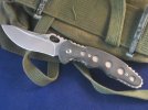 Dragonfire Pics 005.jpg