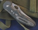 Dragonfire Pics 003.jpg