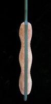 greennmsfno3.jpg
