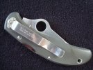Spydie (Medium).JPG