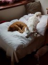 20180216_133529.jpg
