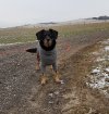 20180318_085515.jpg