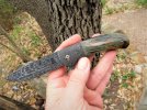 mammoth flipper 2.JPG mammoth flipper 2.JPG