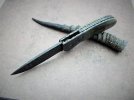 mammoth flipper 5.JPG mammoth flipper 5.JPG