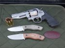 S&W 627 Pro Series & Carothers.jpg