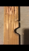 CECFE3AA-01FC-427C-B2EF-46E52E43F5F5.png