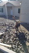 Resized_20180312_151034_3765.jpeg