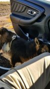 Resized_20180312_151436_1839.jpeg