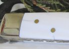 AW Ivory Senator 1-2C.JPG AW Ivory Senator 1-2C.JPG