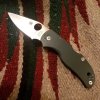 Native 5--A.jpg