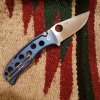 PITS Blue Ano--B.jpg