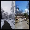 IMG_2018-03-24_16-38-20.JPG