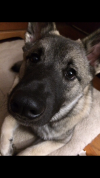 FEE15C1C-6C03-44F4-85FD-E940150C665A.png
