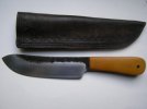 P5121154 (600 x 450).jpg