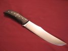 ninja persian 005.jpg ninja persian 005.jpg
