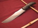 ninja persian 014.jpg