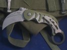 Tiger Attack Karambit Blade Pics 001.jpg