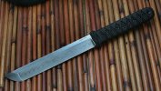 stevetanto1.jpg