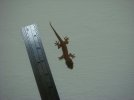 DSC07794.jpg